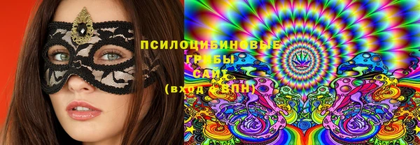 spice Алексеевка