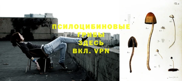 тгк Алзамай