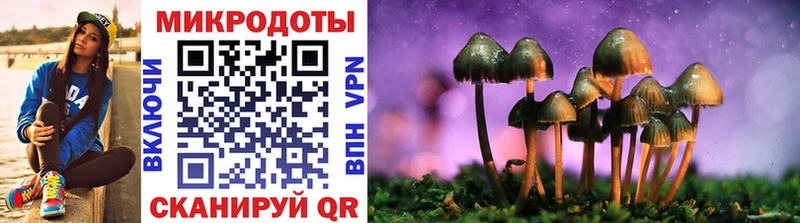 KRAKEN зеркало  Лобня  Галлюциногенные грибы Psilocybine cubensis 