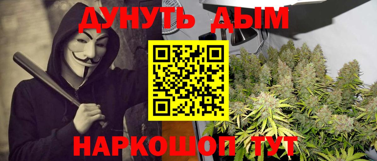 Конопля MAZAR  Шишки марихуана сатива  Лобня  Шишки марихуана планчик 